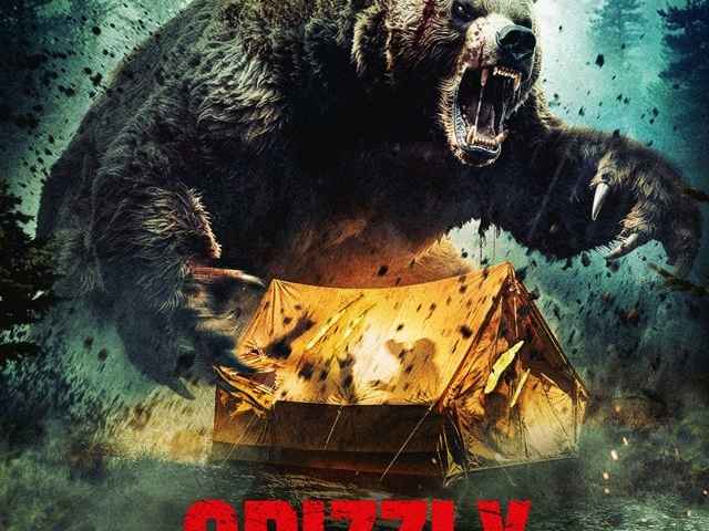Grizzly Night