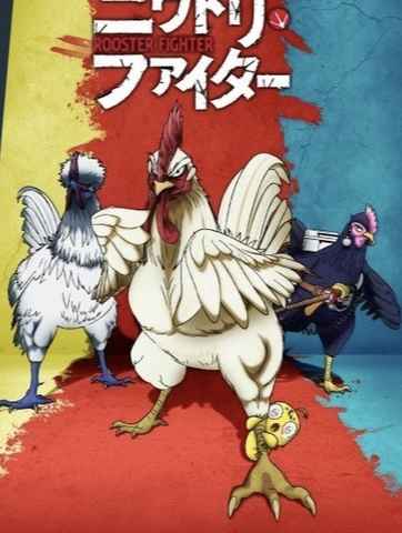 Rooster Fighter
