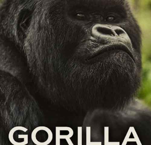 A Gorilla Story Told by David Attenborough