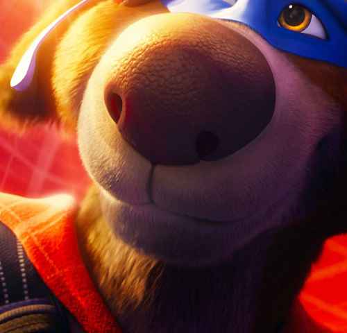 Charlie the Wonderdog