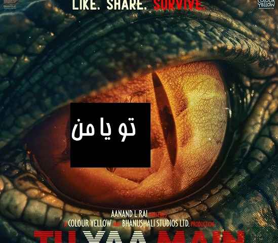 Tu Yaa Main