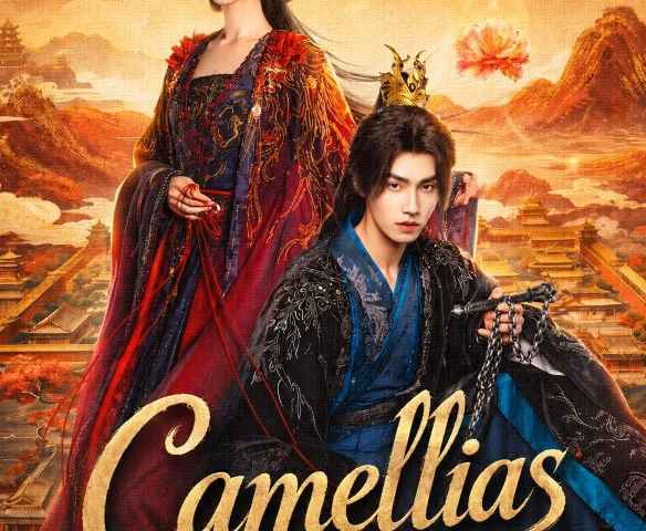 Camellias