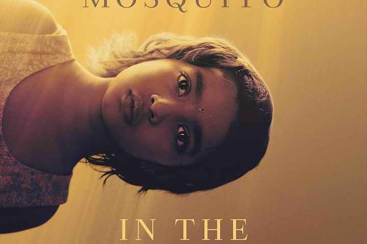 A Mosquito in the Ear