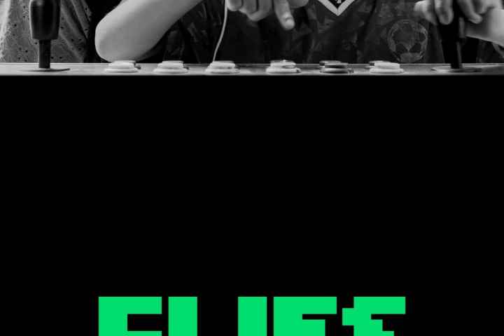 Flies