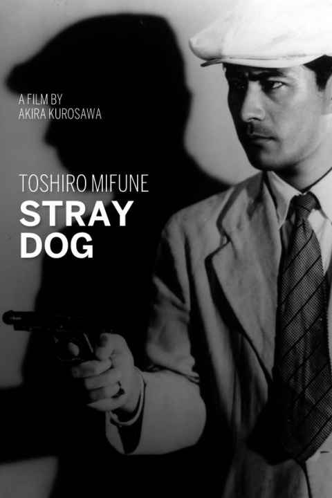Stray Dog