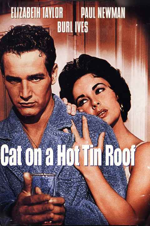 Cat on a Hot Tin Roof