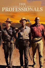 The Professionals
