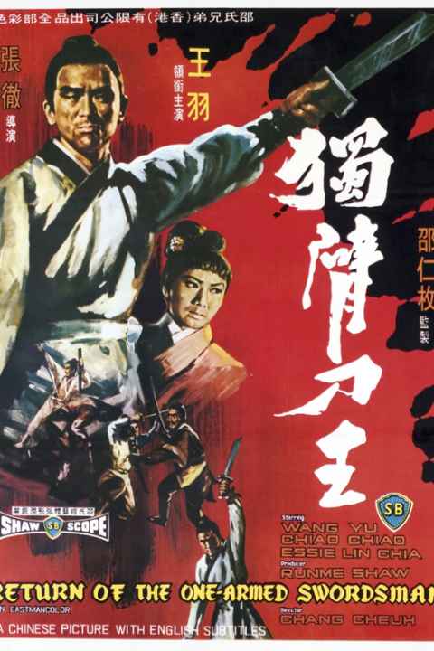 Return of the One Armed Swordsman