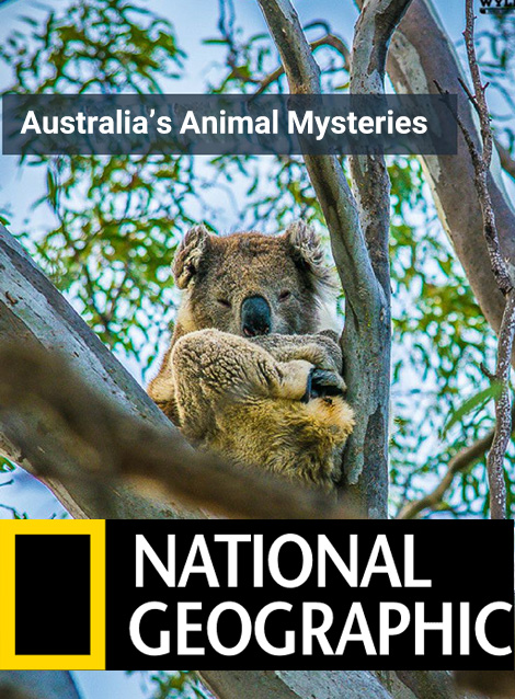 Australias Animal Mysteries