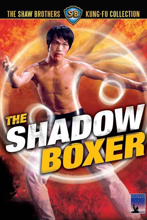 The Shadow Boxer