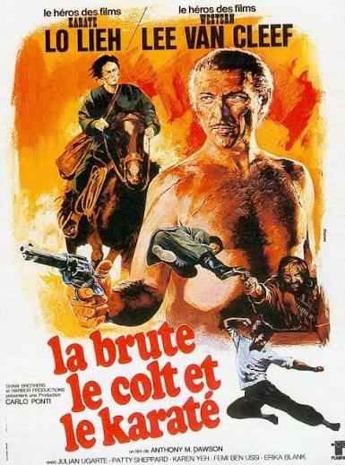 The Stranger and the Gunfighter