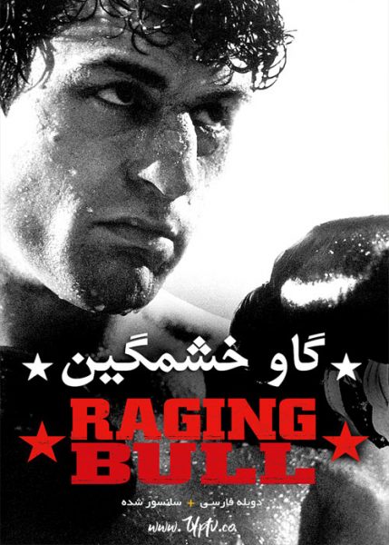 Raging bull