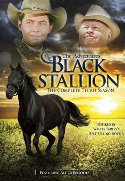 The New Adventures of the Black Stallion