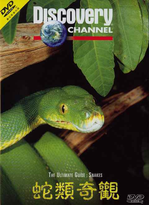 The Ultimate Guide Snakes