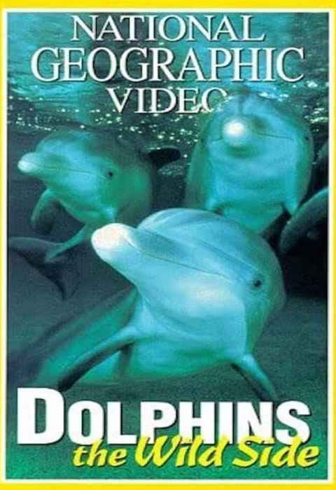 Dolphins The Wild Side