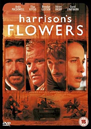 Harrisons Flowers