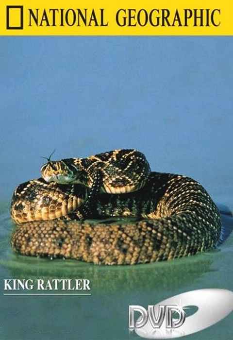 King Rattler