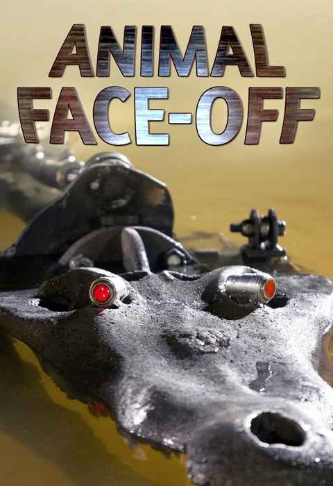 Animal Face Off Saltwater Crocodile vs Great White Shark