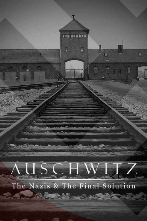 Auschwitz The Final Solution