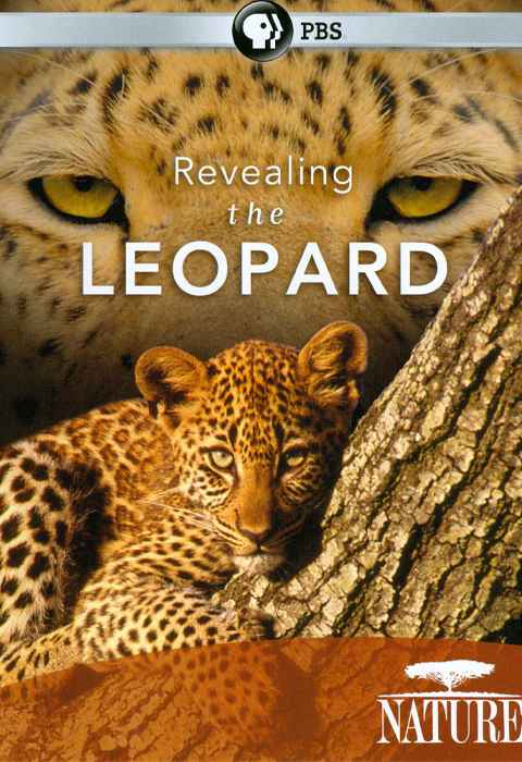 Revealing the Leopard