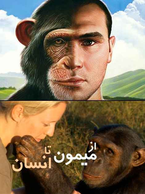 From monkey to human
