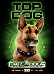 Cats And Dogs