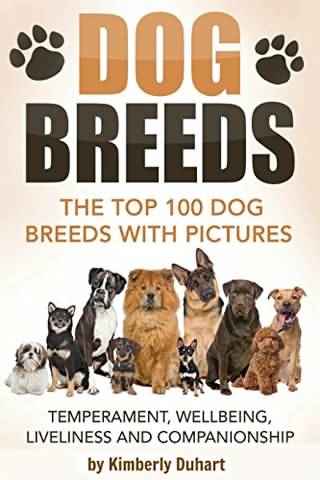100 Lovely dog ​​breeds