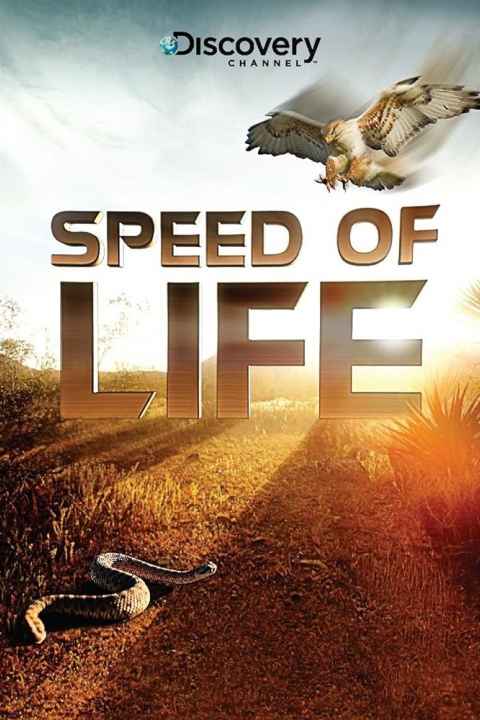 Speed of Life