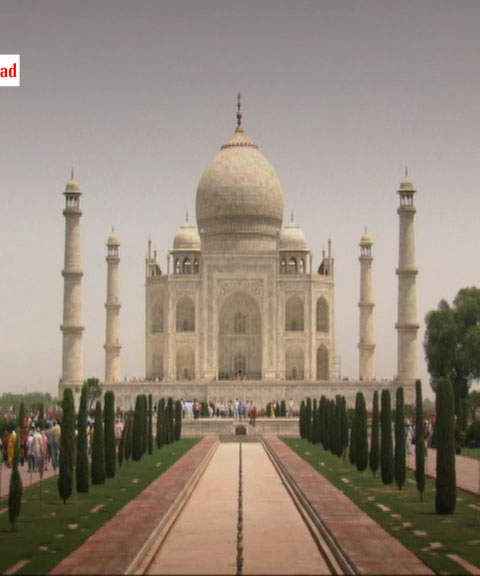 Great India