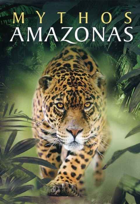 Amazon Alive