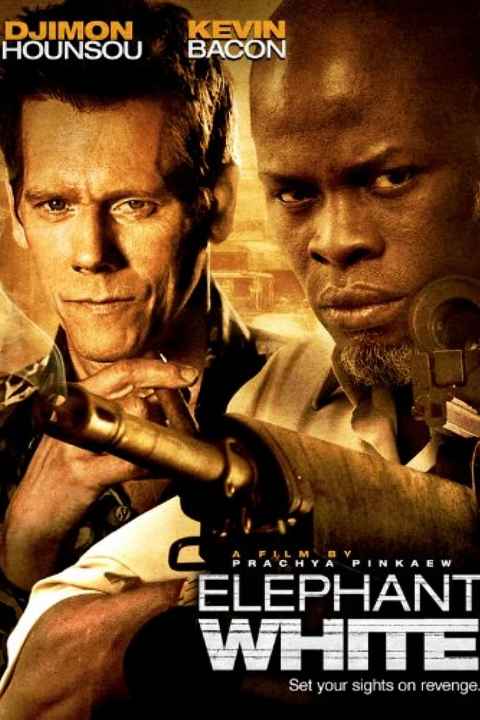 Elephant White