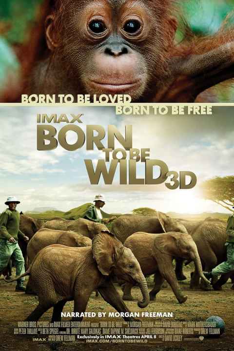 Born to Be Wild