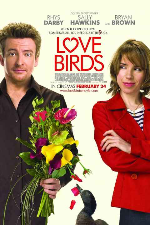 Love Birds