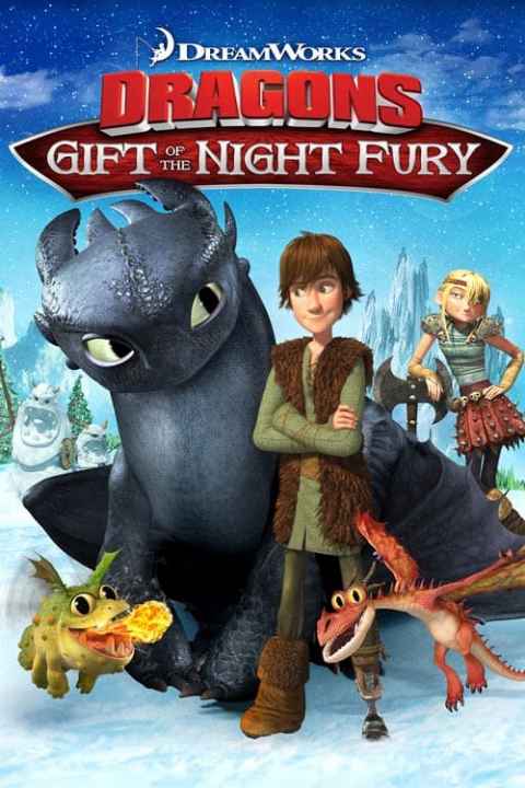 Dragons Gift of the Night Fury
