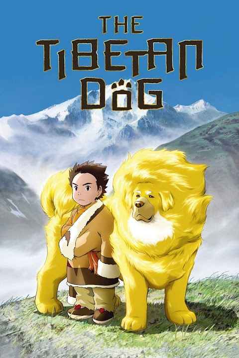 Tibetan Dog
