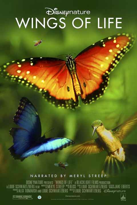 Disneynature Wings of Life