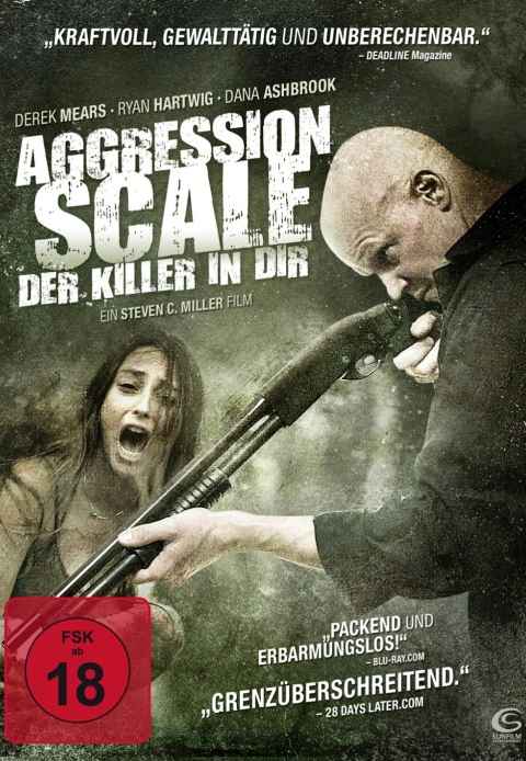 The Aggression Scale