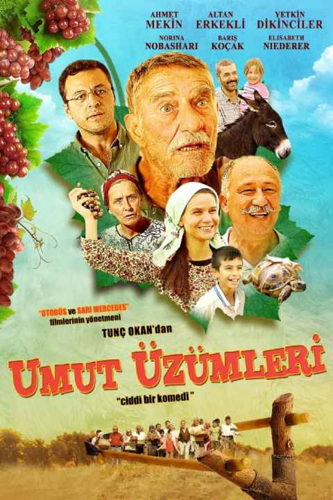Umut Uzumleri