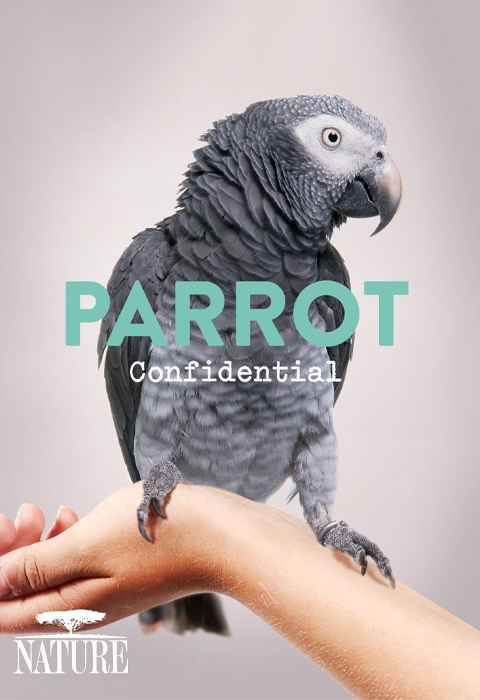 Parrot Confidential on Nature