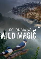 Destination Wild: Colombia