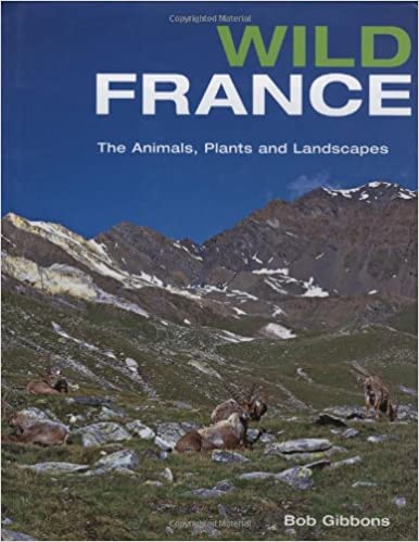 BBC Natural World France The Wild Side