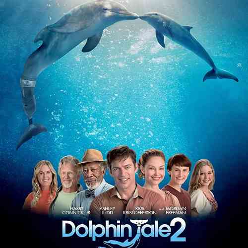 Dolphin Tale 2