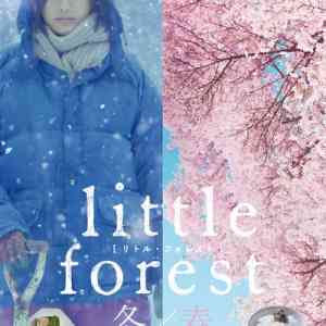 Little Forest: Winter/Spring