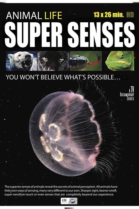 Super Senses