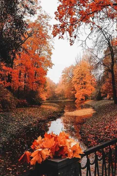 The beauty of the seasons
