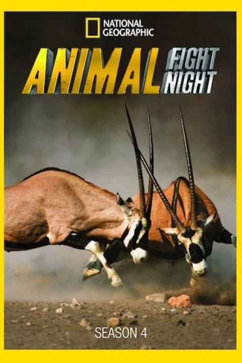 Animal Fight