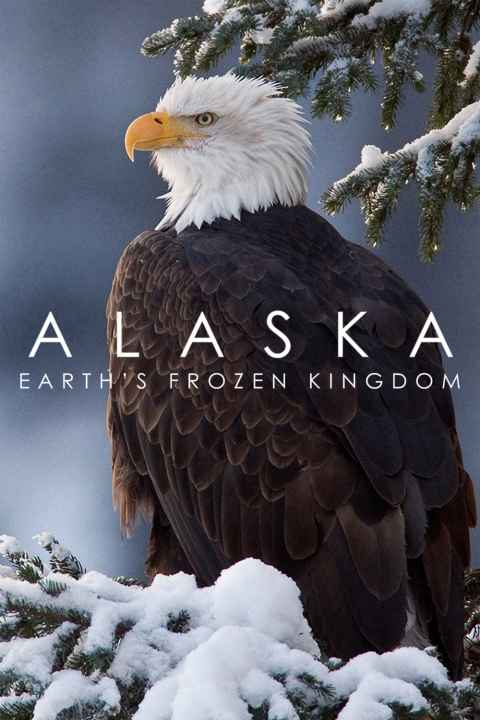 Alaskan wildlife