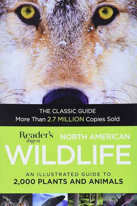 American Wildlife