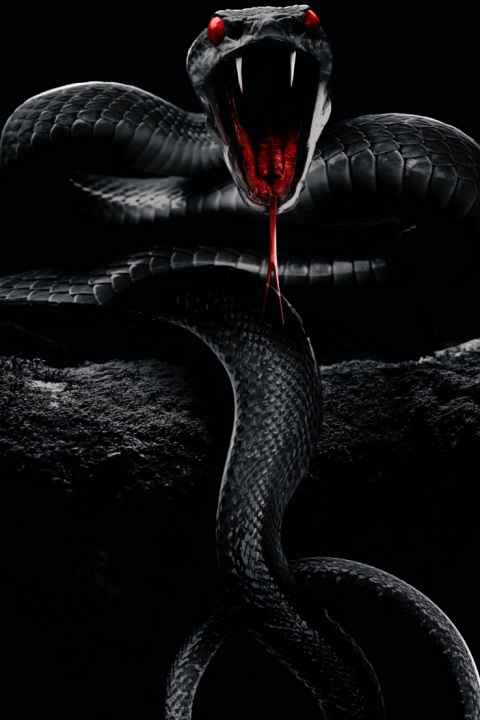 Cannibals supersnakes