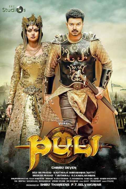 Puli